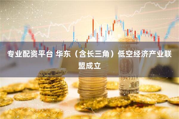 專業配資平臺 華東（含長三角）低空經濟產業聯盟成立