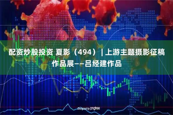 配資炒股投資 夏影（494） | 上游主題攝影征稿作品展——呂經(jīng)建作品