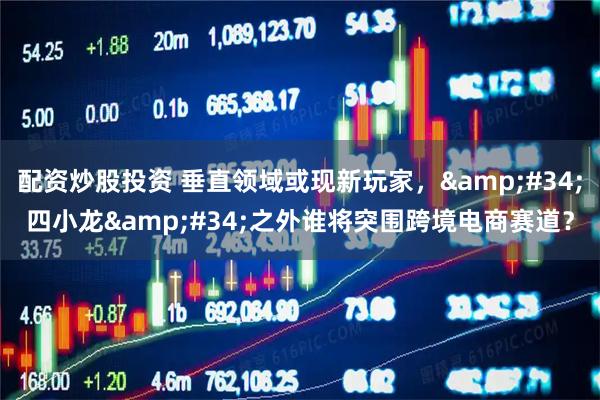 配資炒股投資 垂直領域或現新玩家，&#34;四小龍&#34;之外誰將突圍跨境電商賽道？